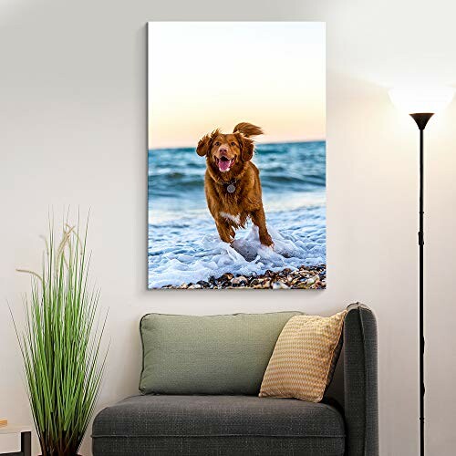 Dog joyfully running on beach in wall art