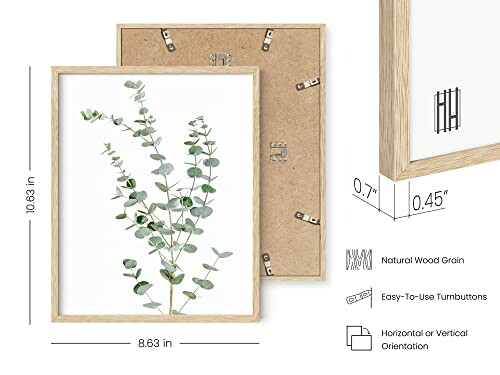 Eucalyptus print in a natural wood frame with dimensions and features.