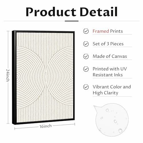 Details of a framed canvas art set with dimensions and features.